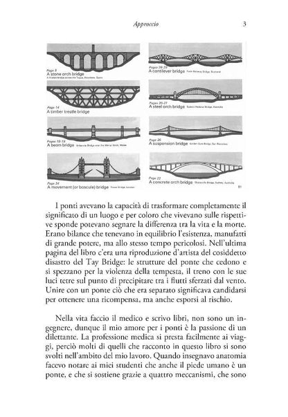 PONTI. Viaggi sulle strade della connessione