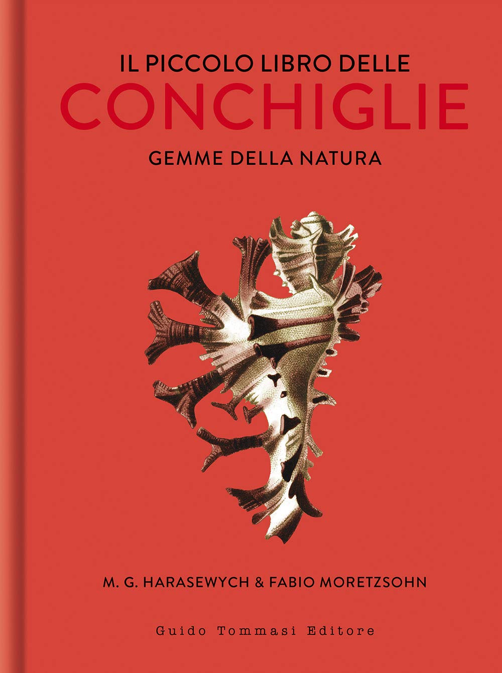 IL PICCOLO LIBRO DELLE CONCHIGLIE. Gemme della natura. Ediz. illustrata