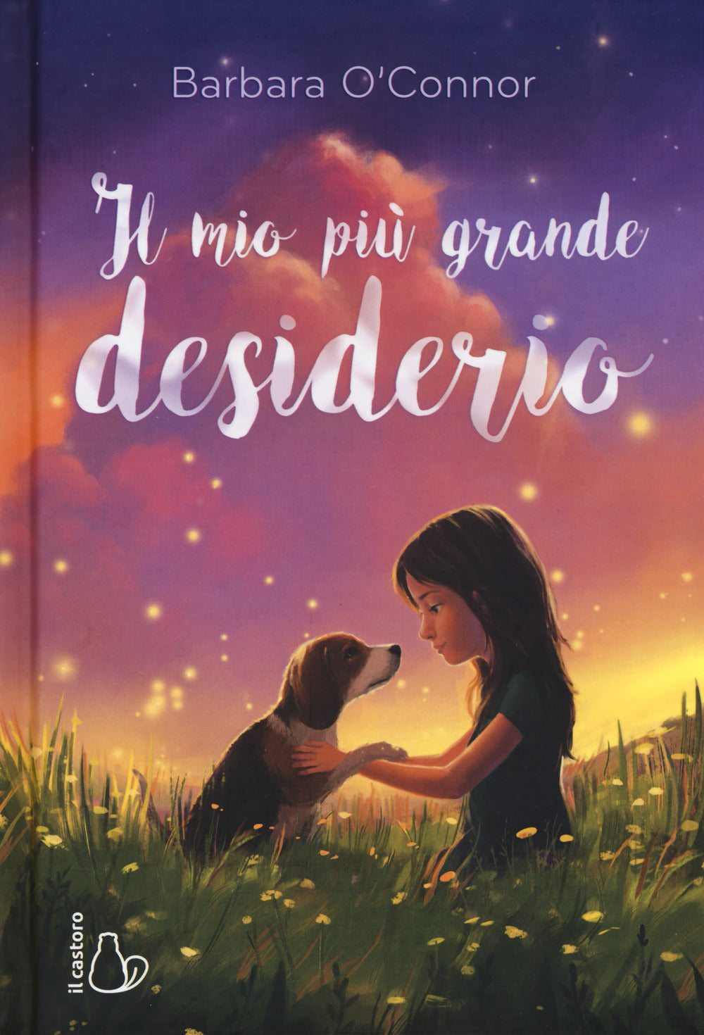 IL MIO PIU’ GRANDE DESIDERIO