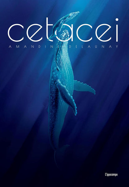 CETACEI. Album scoperte