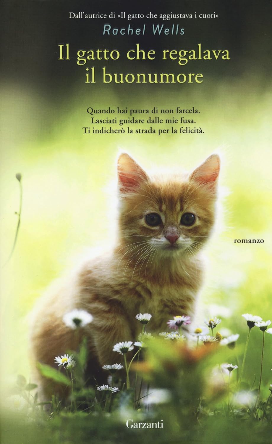 IL GATTO CHE REGALAVA IL BUONUMORE