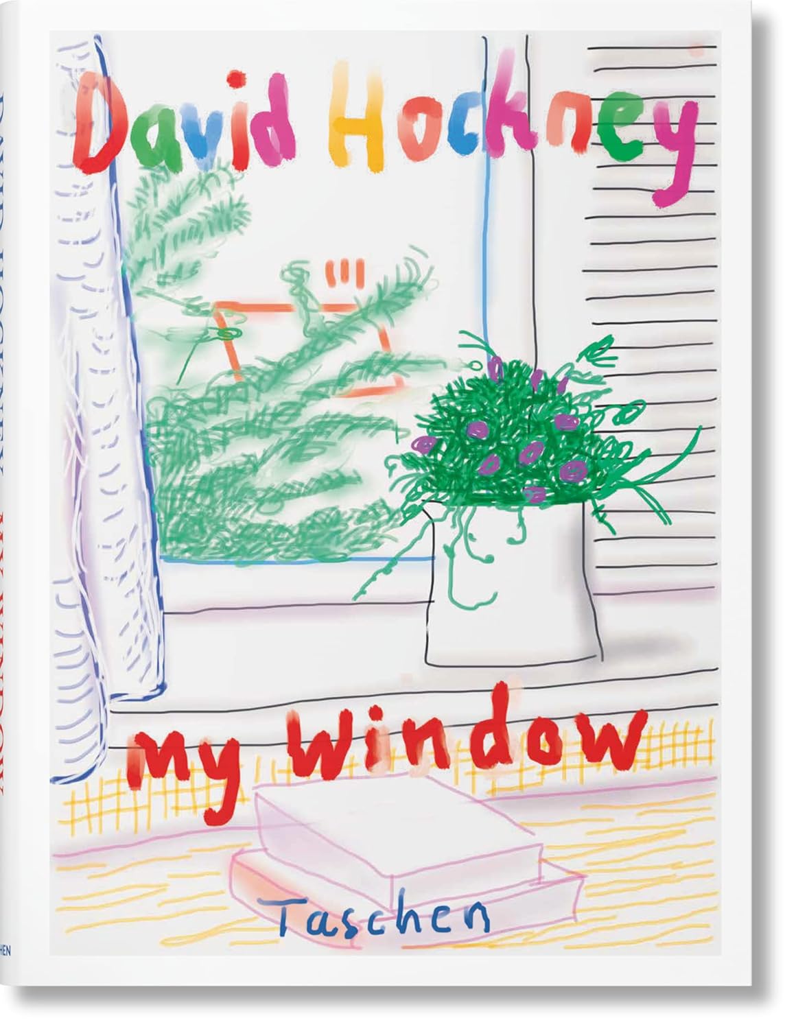 DAVID HOCKNEY. My window. Ediz. illustrata