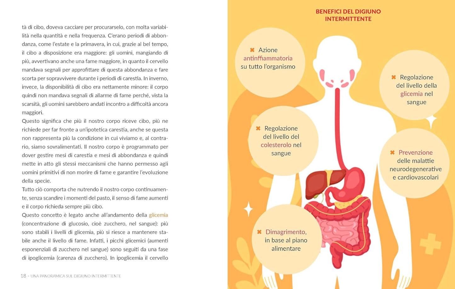 IL DIGIUNO INTERMITTENTE A MODO MIO. I protocolli, i benefici, le ricette