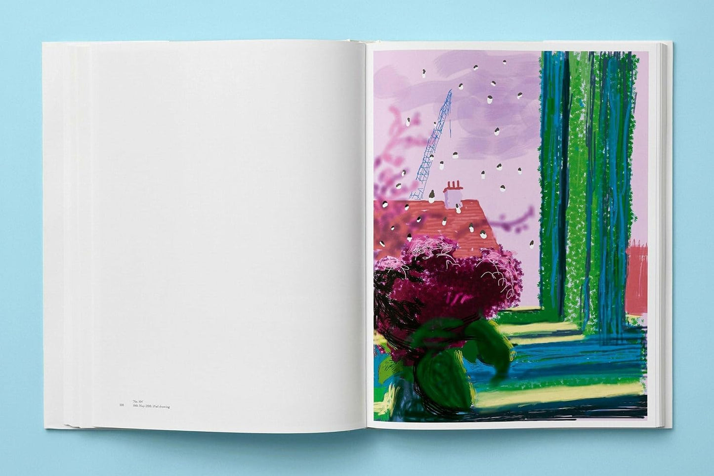 DAVID HOCKNEY. My window. Ediz. illustrata