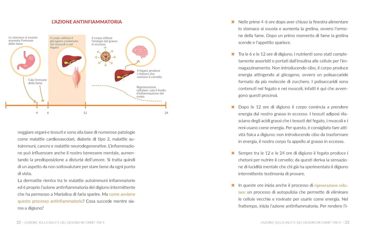 IL DIGIUNO INTERMITTENTE A MODO MIO. I protocolli, i benefici, le ricette