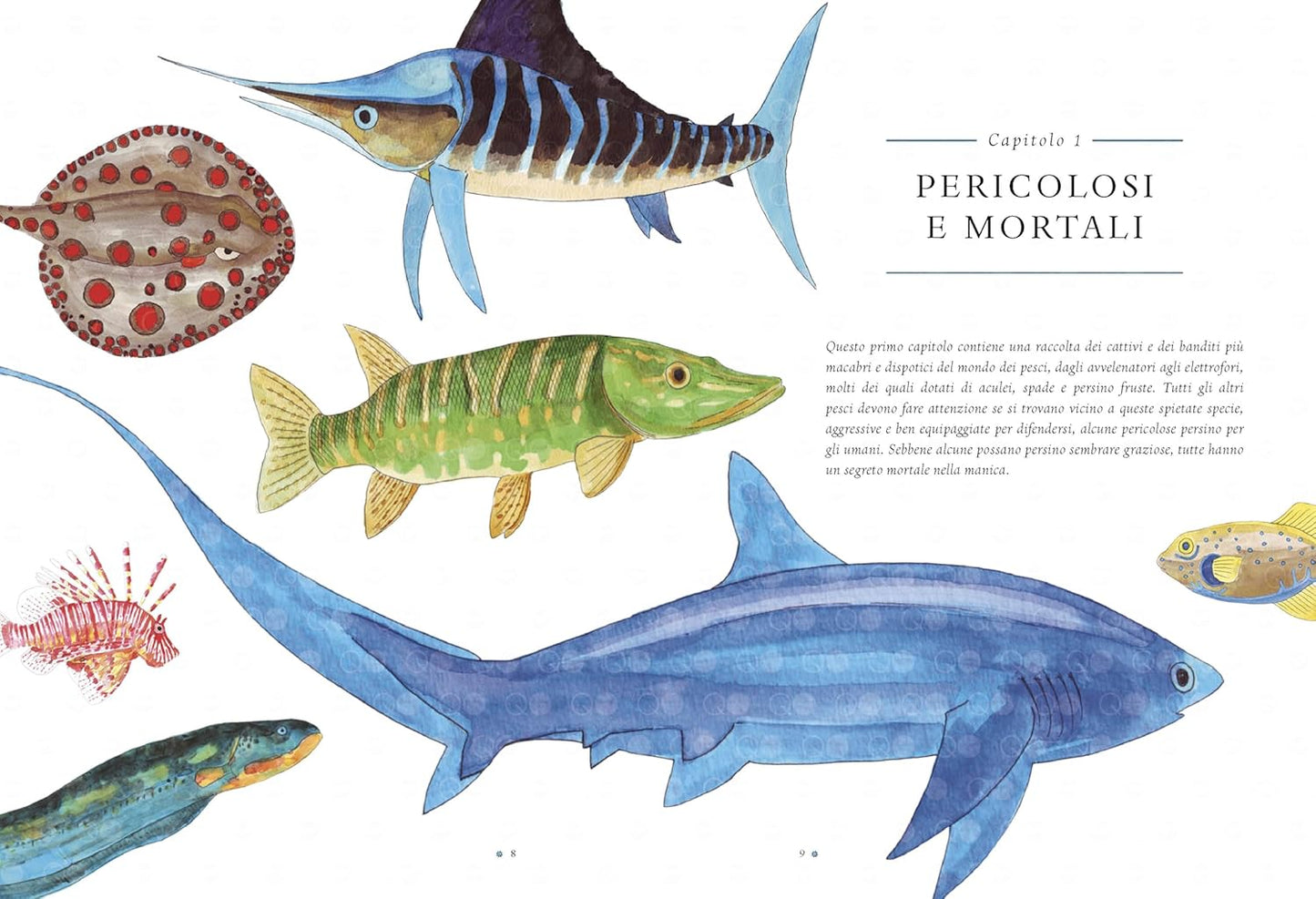 LA VITA SEGRETA DEI PESCI