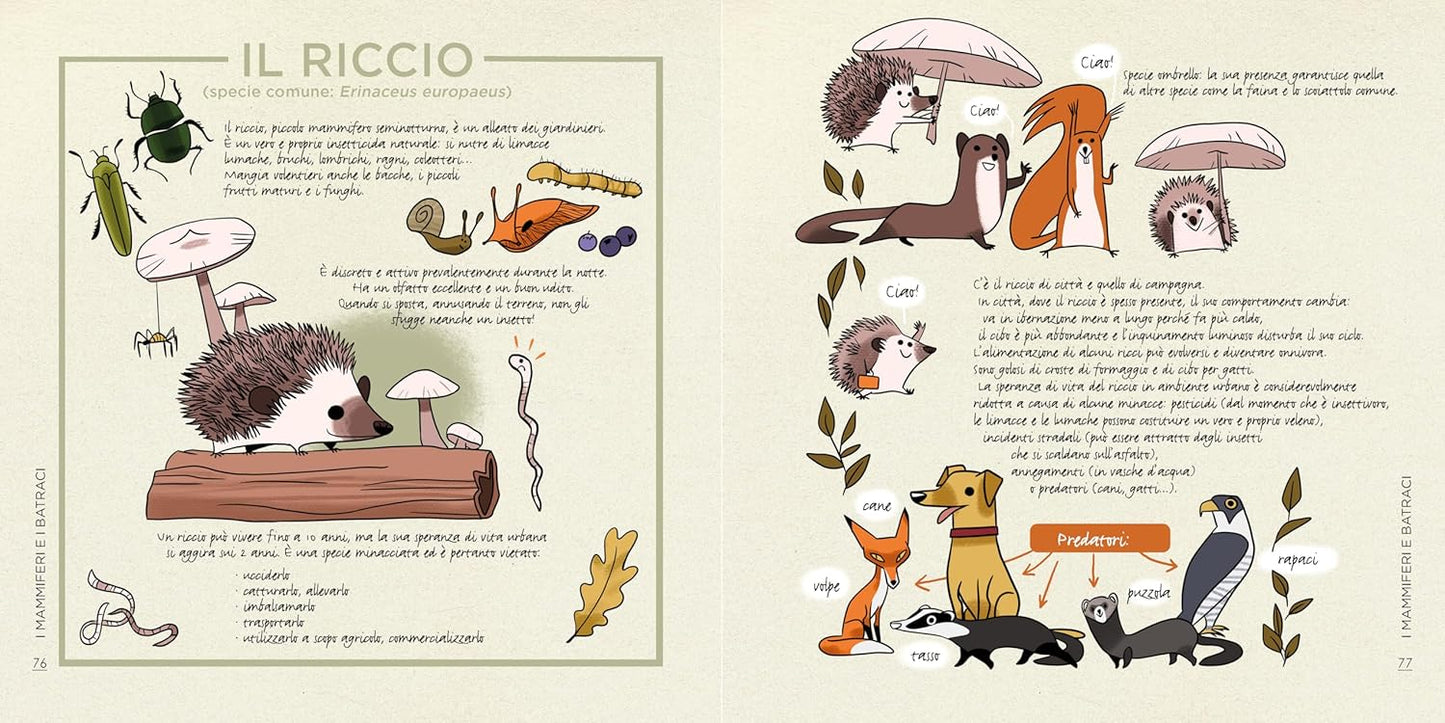 CONOSCERE E PROTEGGERE LA PICCOLA FAUNA URBANA. Uccelli, scoiattoli, ricci, api...