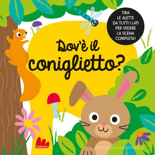 DOV'È IL CONIGLIETTO? EDIZ. A COLORI