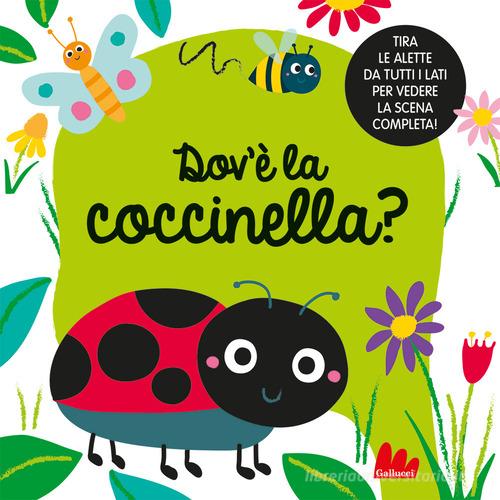 DOV’E’ LA COCCINELLA? Ediz. A colori