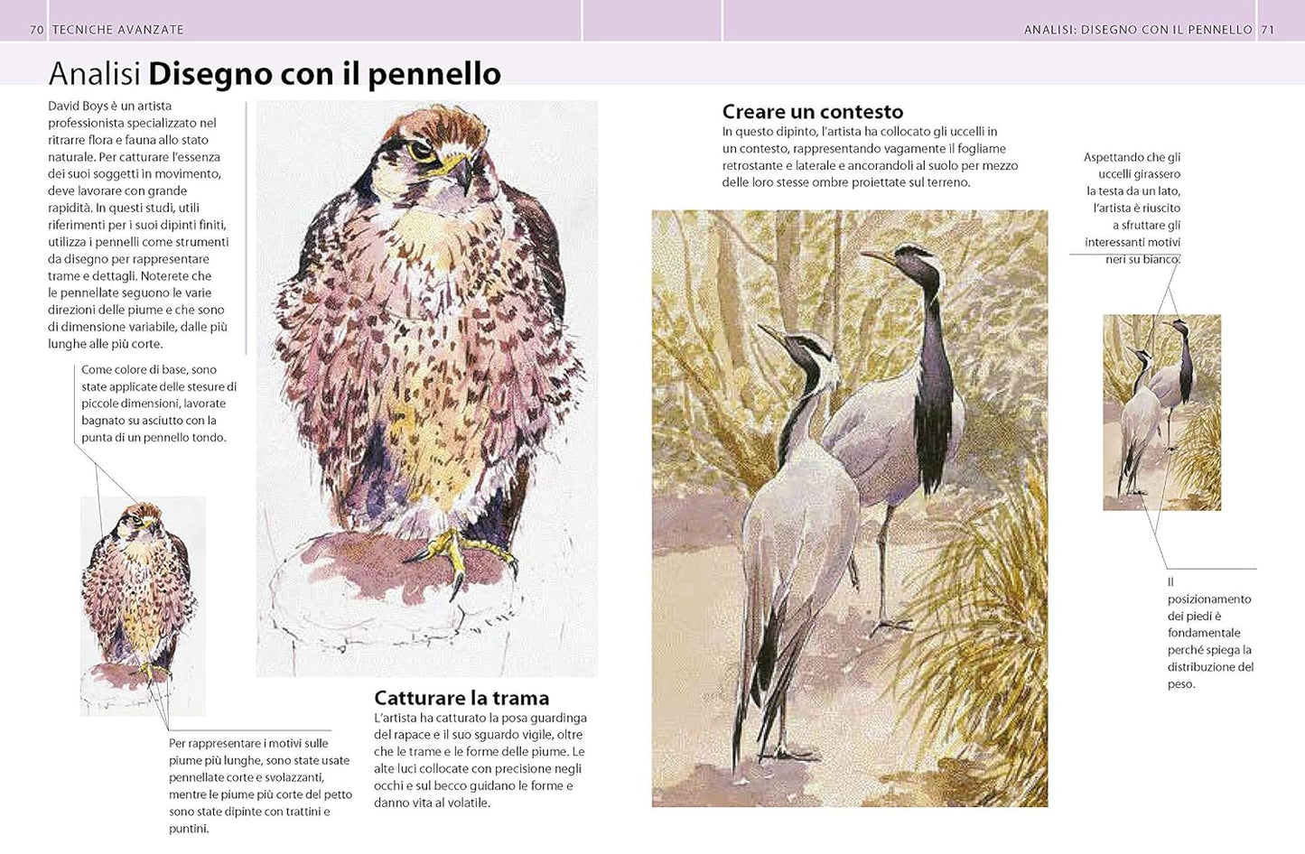GUIDA COMPLETA ALLA PITTURA AD ACQUARELLO. Ediz. Illustrata