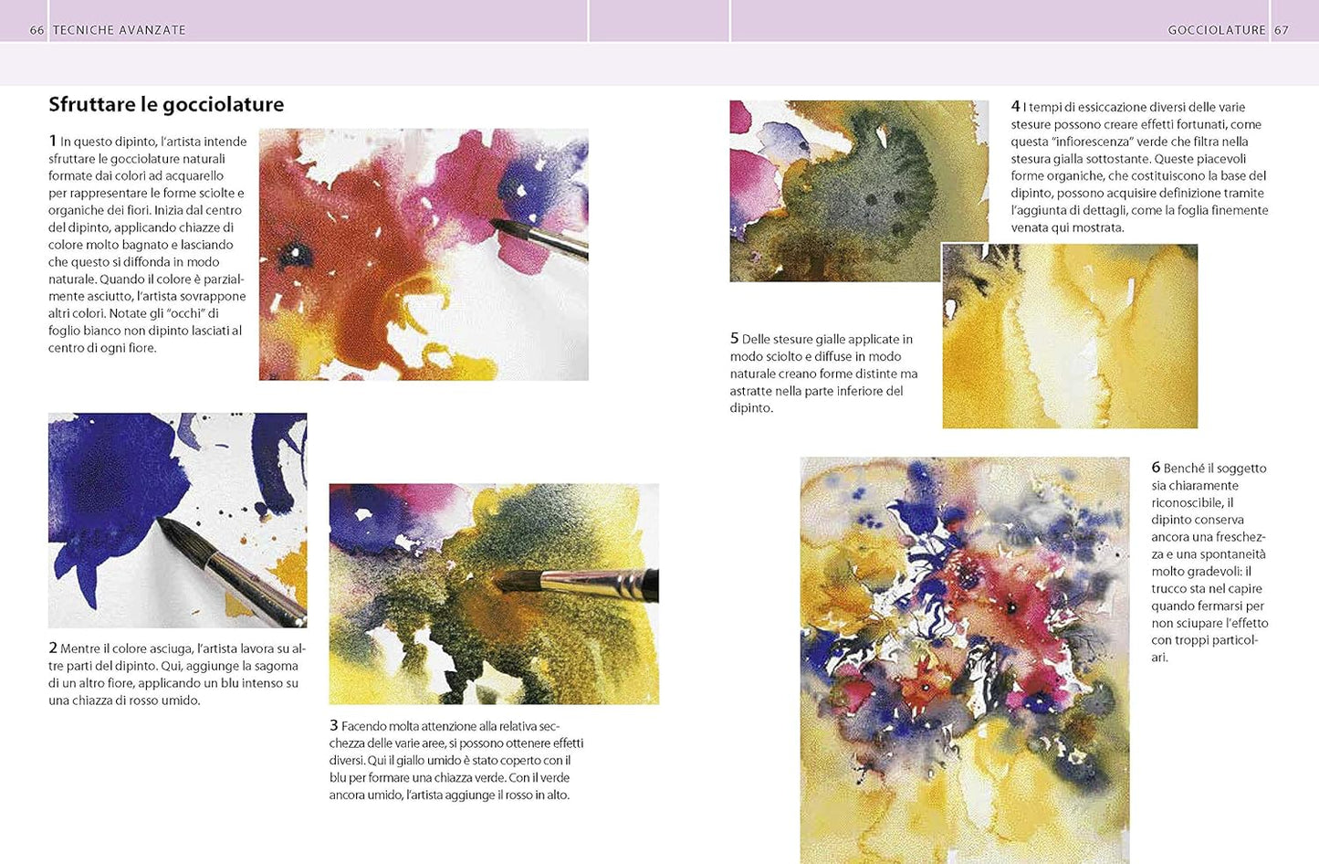 GUIDA COMPLETA ALLA PITTURA AD ACQUARELLO. Ediz. Illustrata