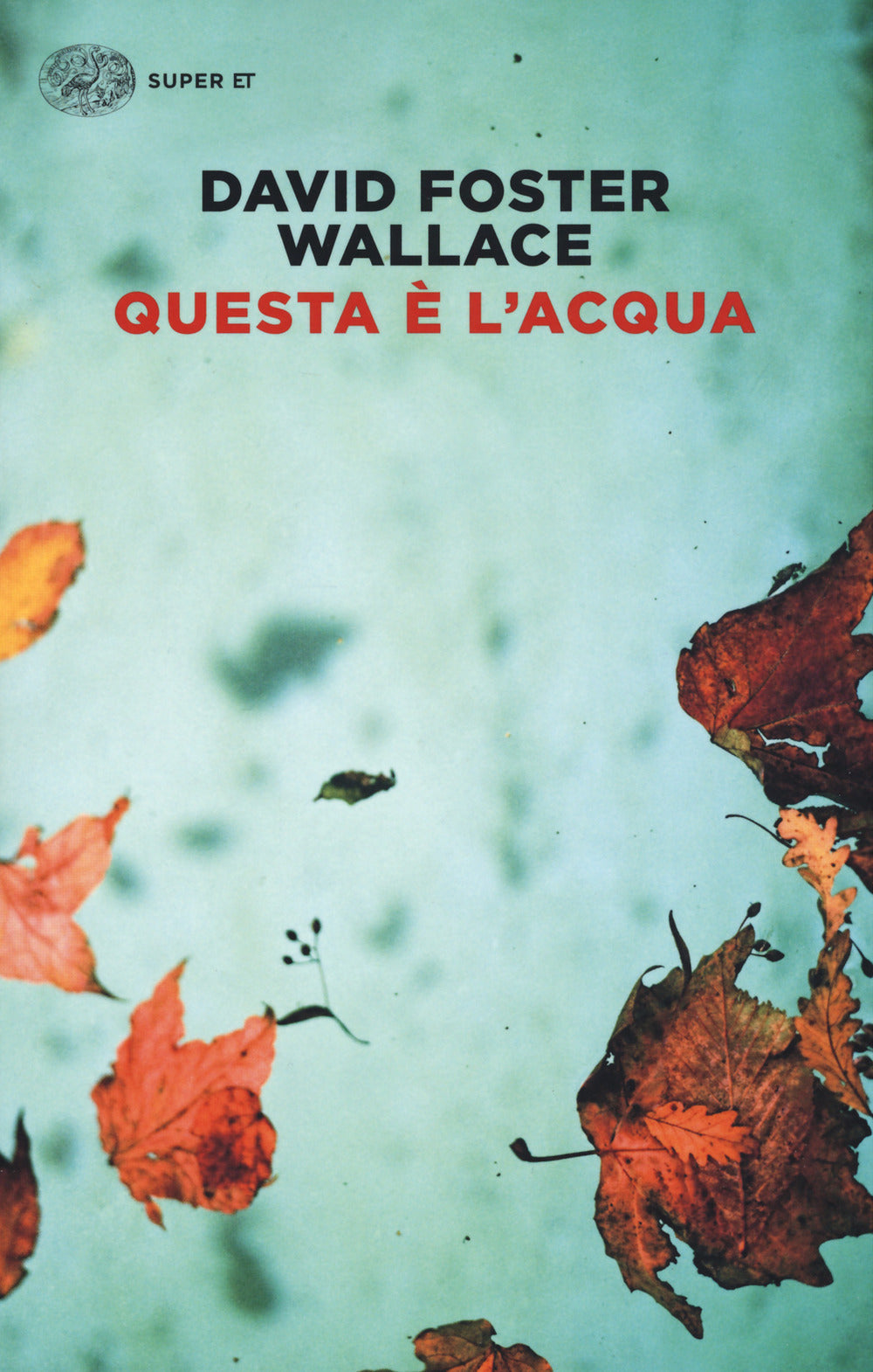 QUESTA È L'ACQUA