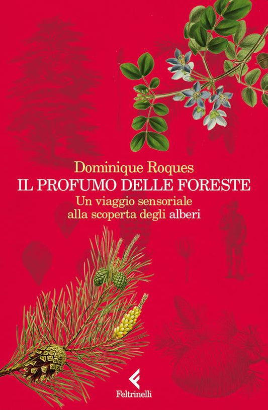 IL PROFUMO DELLE FORESTE Un viaggio sensoriale alla scoperta degli alberi