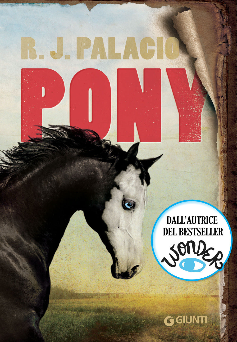 PONY