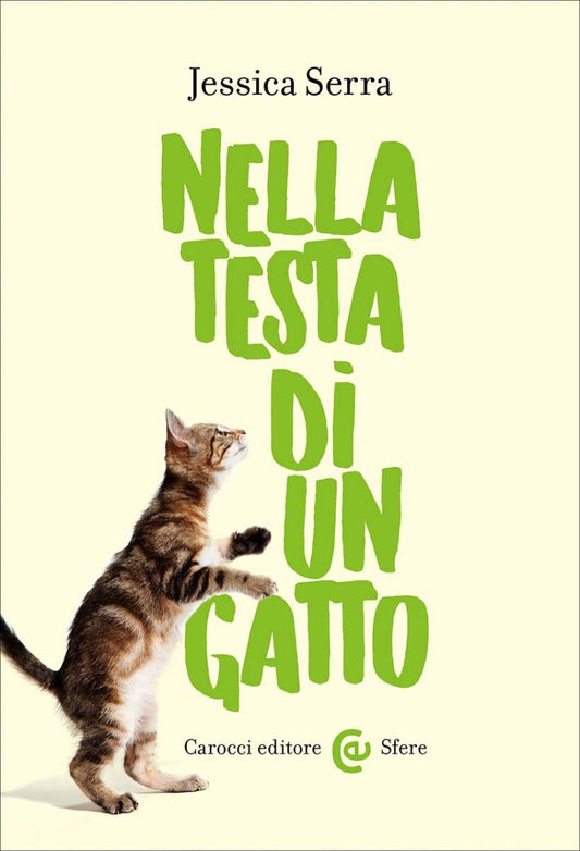 NELLA TESTA DI UN GATTO