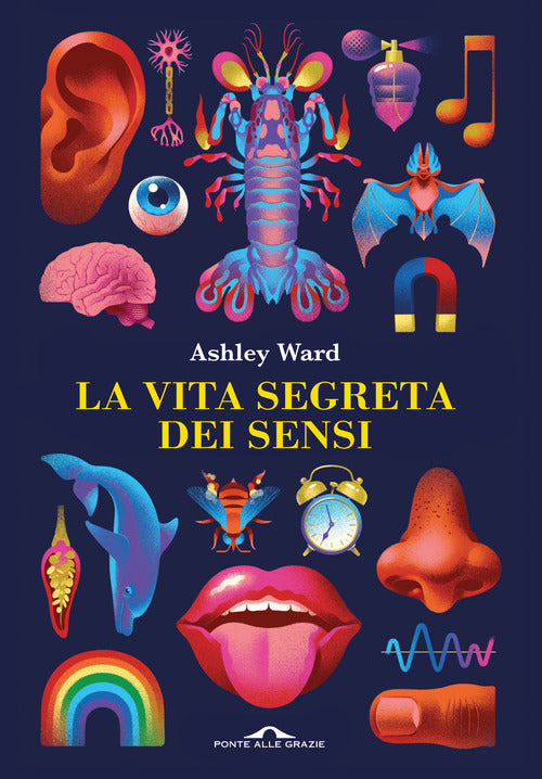 LA VITA SEGRETA DEI SENSI
