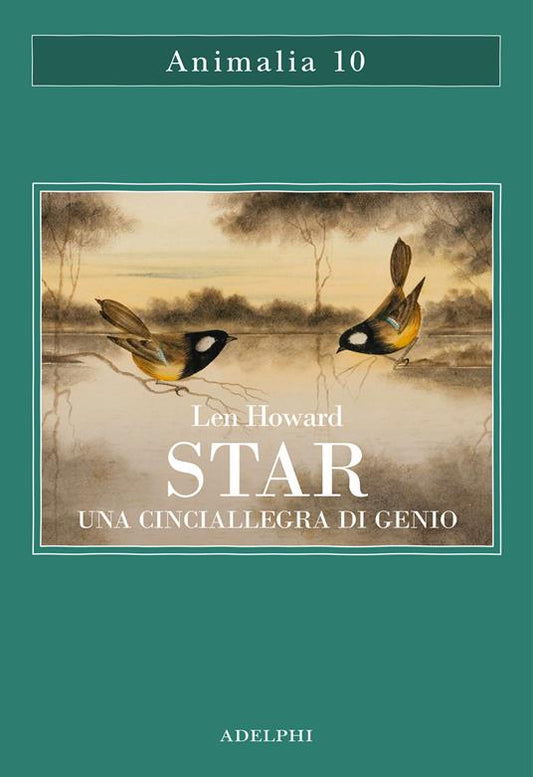 STAR. Una cinciallegra di genio
