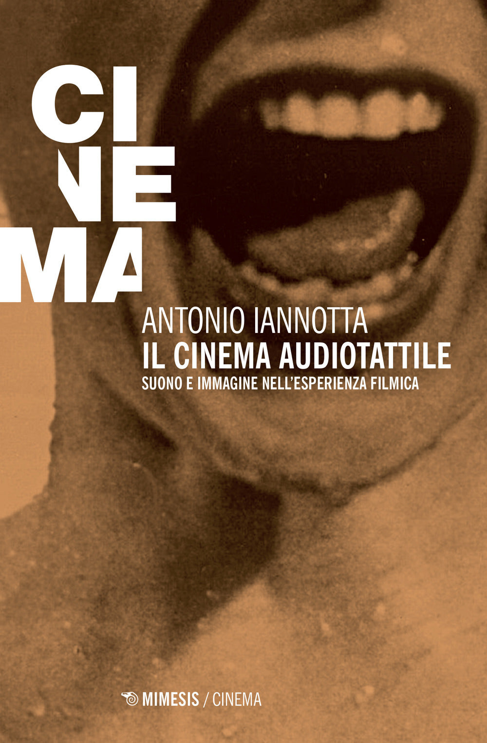 IL CINEMA AUDIOTATTILE. SUONO E IMMAGINE NELL' ESPERENZA FILMICA