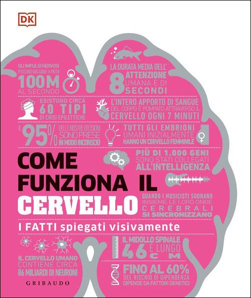 COME FUNZIONA IL CERVELLO I fatti spiegati visivamente