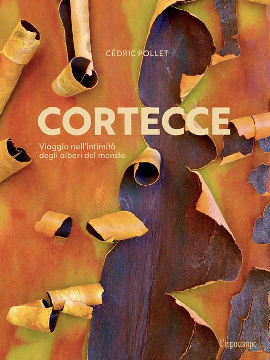 CORTECCE. Viaggio nell'intimità degli alberi del mondo