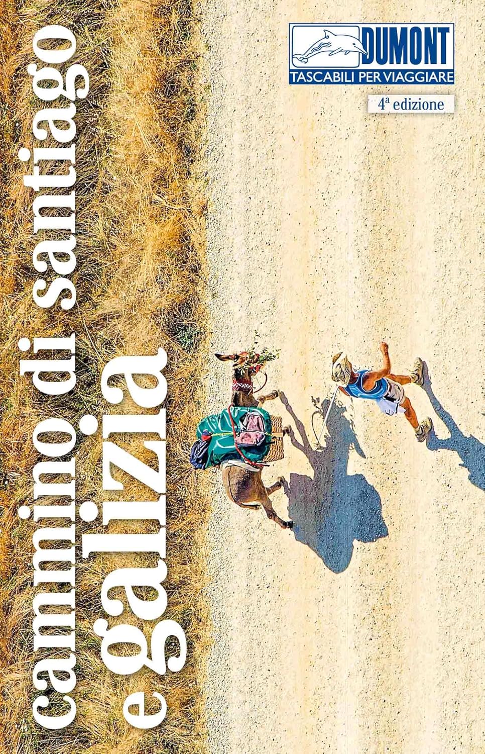 Cammino di Santiago e Galizia. Con carta geografica ripiegata