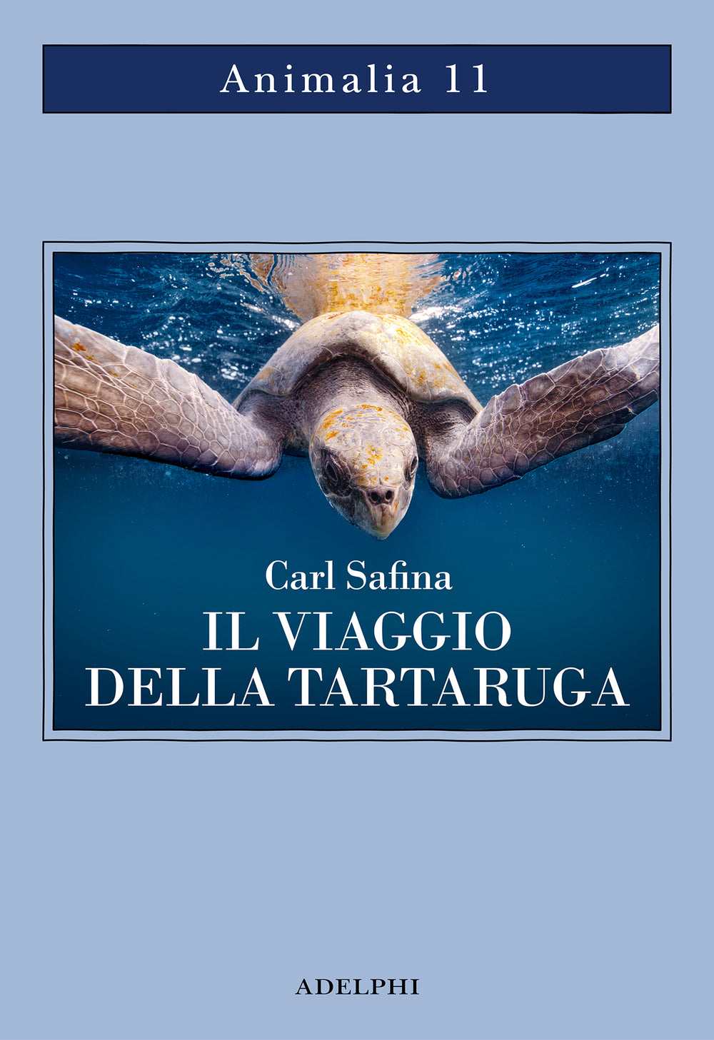 IL VIAGGIO DELLA TARTARUGA