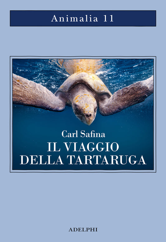 IL VIAGGIO DELLA TARTARUGA