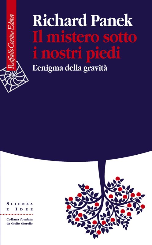 IL MISTERO SOTTO I NOSTRI PIEDI L'enigma della gravità