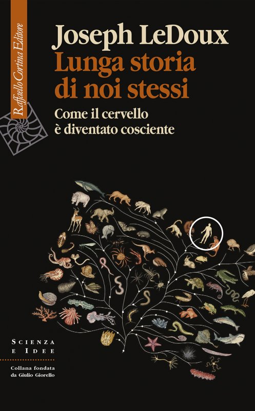 LUNGA STORIA DI NOI STESSI Come il cervello è diventato cosciente