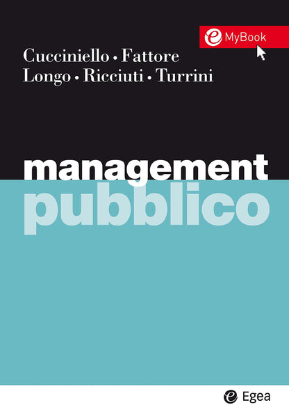 MANAGEMENT PUBBLICO