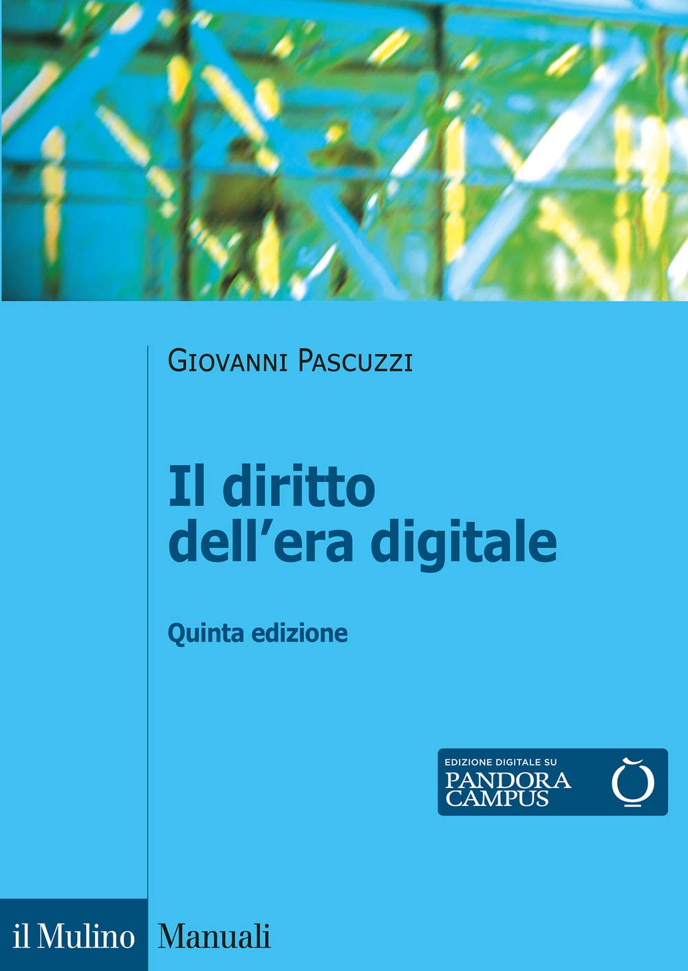 IL DIRITTO DELL'ERA DIGITALE