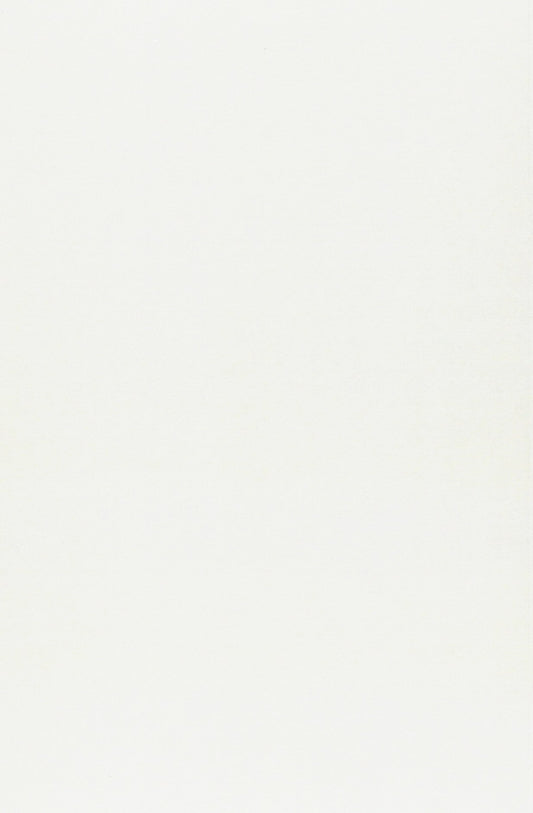 UN MARXISMO RINNOVATO