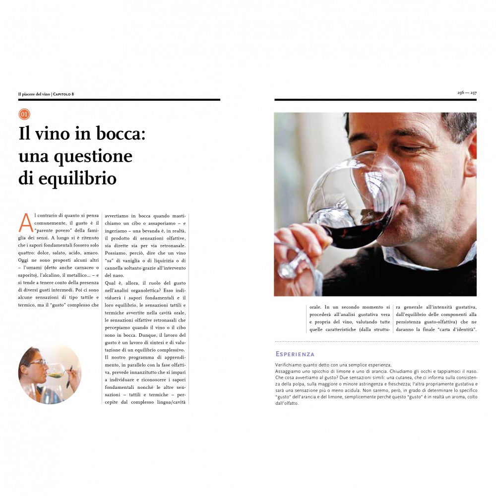 IL PIACERE DEL VINO