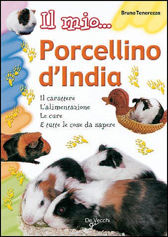 IL MIO... PORCELLINO D'INDIA