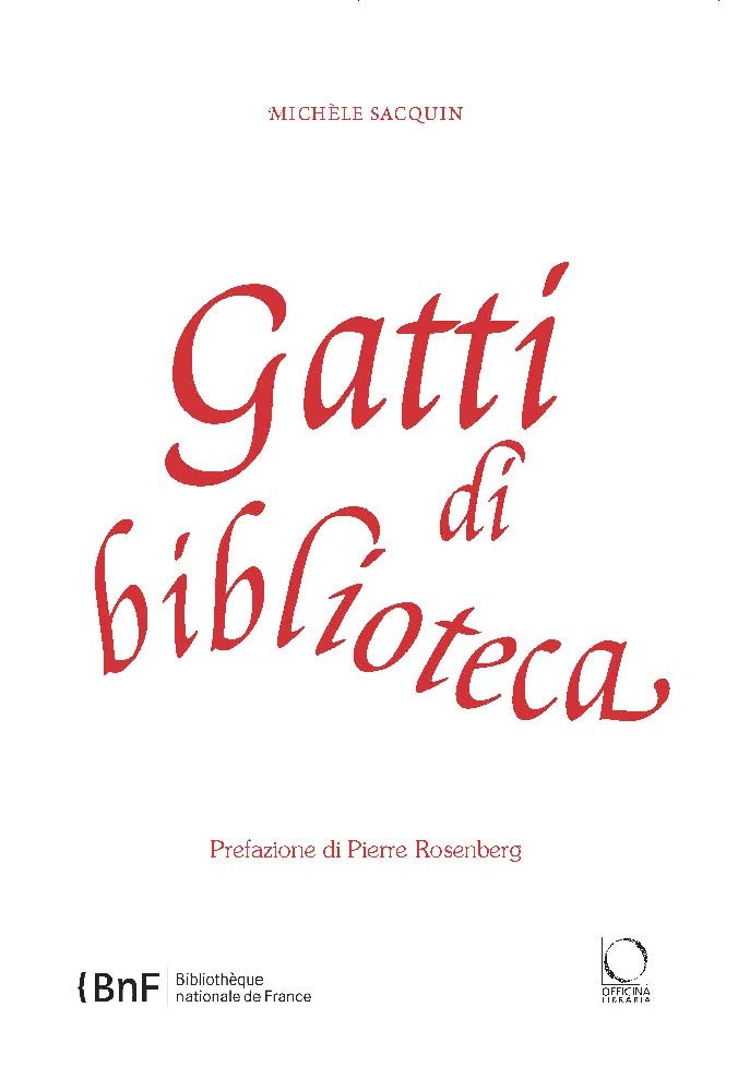 GATTI DI BIBLIOTECA. EDIZ. ILLUSTRATA