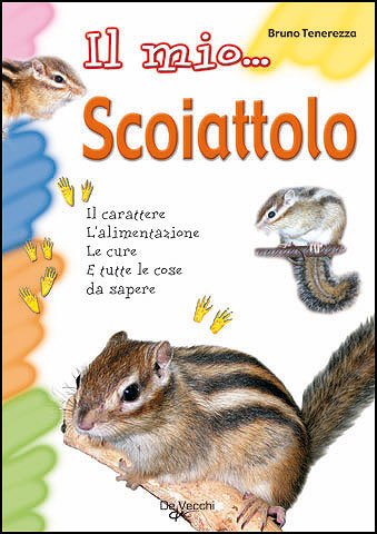 IL MIO... PORCELLINO D'INDIA