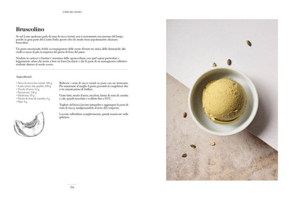 ARTE DEL GELATO. 100 RICETTE PER TUTTO L'ANNO