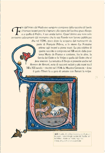 GATTI DI BIBLIOTECA. EDIZ. ILLUSTRATA
