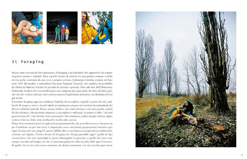 IMPARARE L'ARTE DEL FORAGING. CONOSCERE, RACCOGLIERE, CONSUMARE IL CIBO SELVATICO
