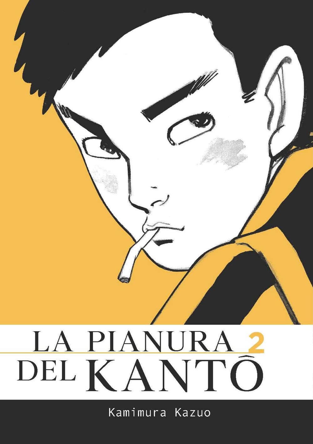 LA PIANURA DEL KANTO. VOL. 2