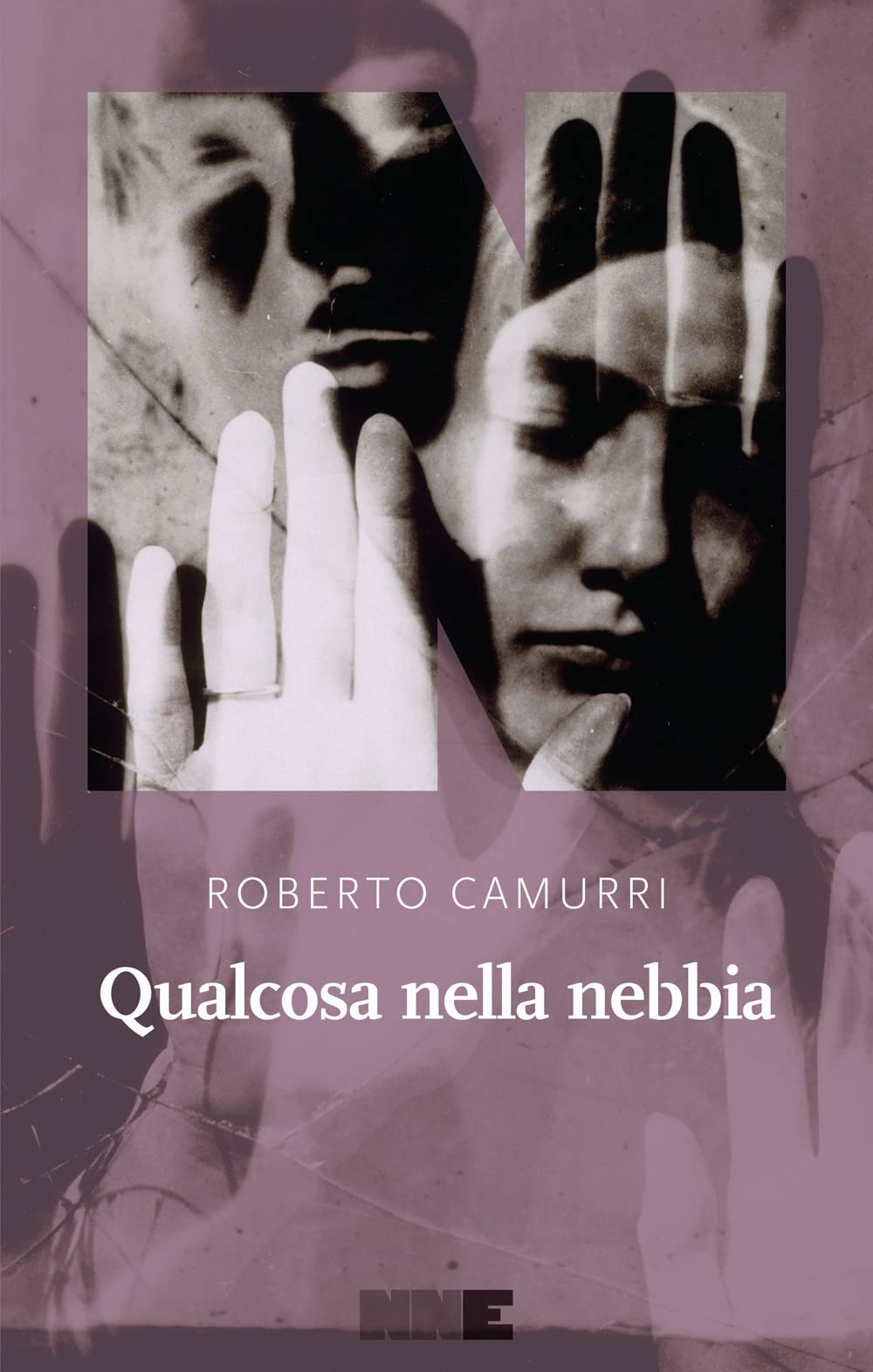 QUALCOSA NELLA NEBBIA