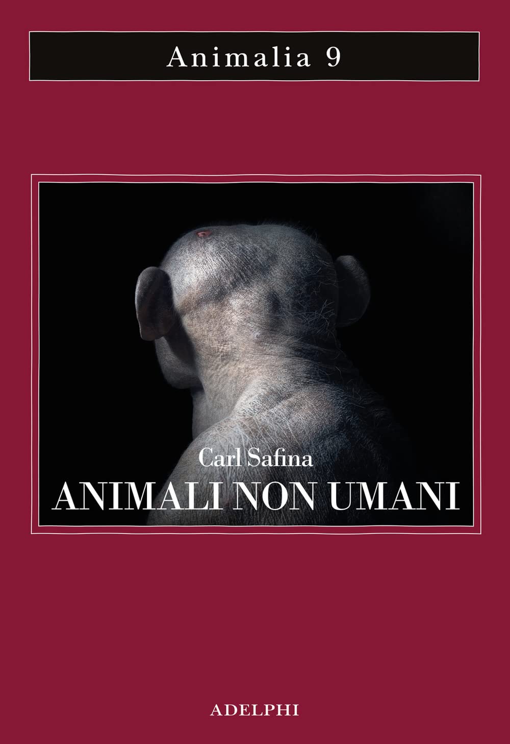 ANIMALI NON UMANI. FAMIGLIA, BELLEZZA E PACE NELLE CULTURE ANIMALI