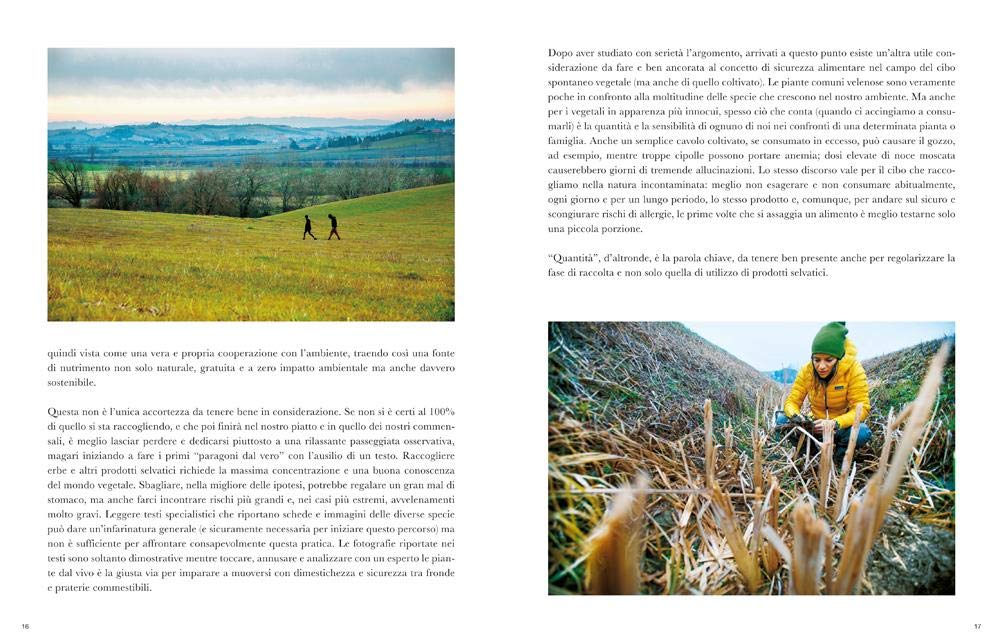 IMPARARE L'ARTE DEL FORAGING. CONOSCERE, RACCOGLIERE, CONSUMARE IL CIBO SELVATICO