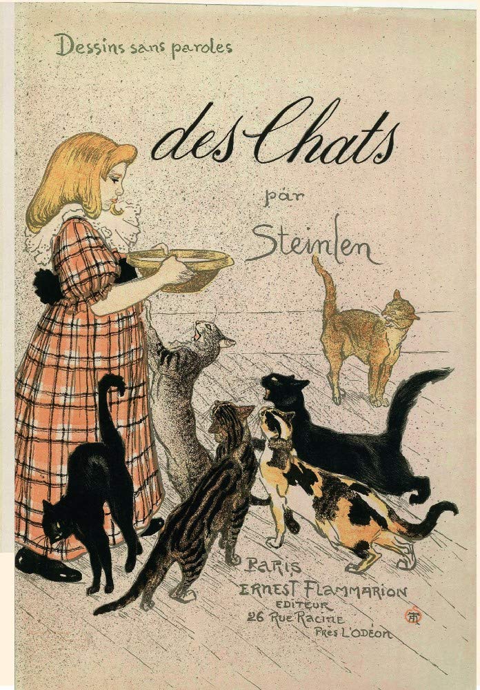 GATTI DI BIBLIOTECA. EDIZ. ILLUSTRATA