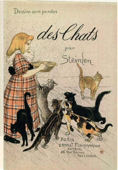 GATTI DI BIBLIOTECA. EDIZ. ILLUSTRATA