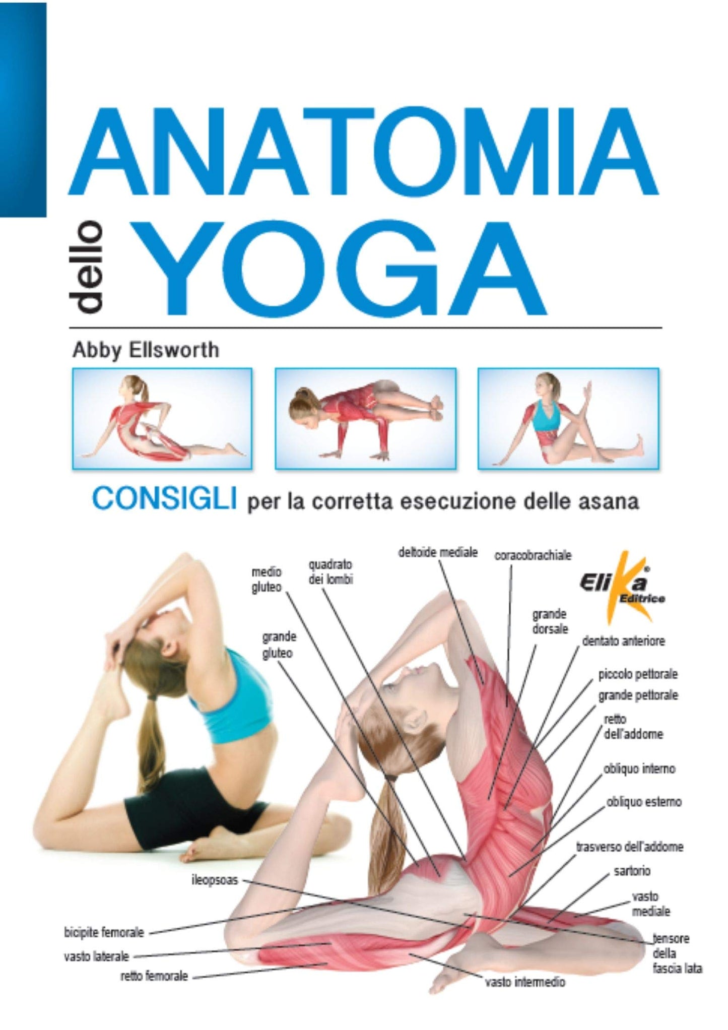 ANATOMIA DELLO YOGA. CONSIGLI PER LA CORRETTA ESECUZIONE DELLE ASANA. EDIZ. A COLORI