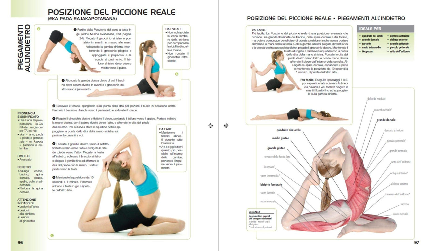 ANATOMIA DELLO YOGA. CONSIGLI PER LA CORRETTA ESECUZIONE DELLE ASANA. EDIZ. A COLORI