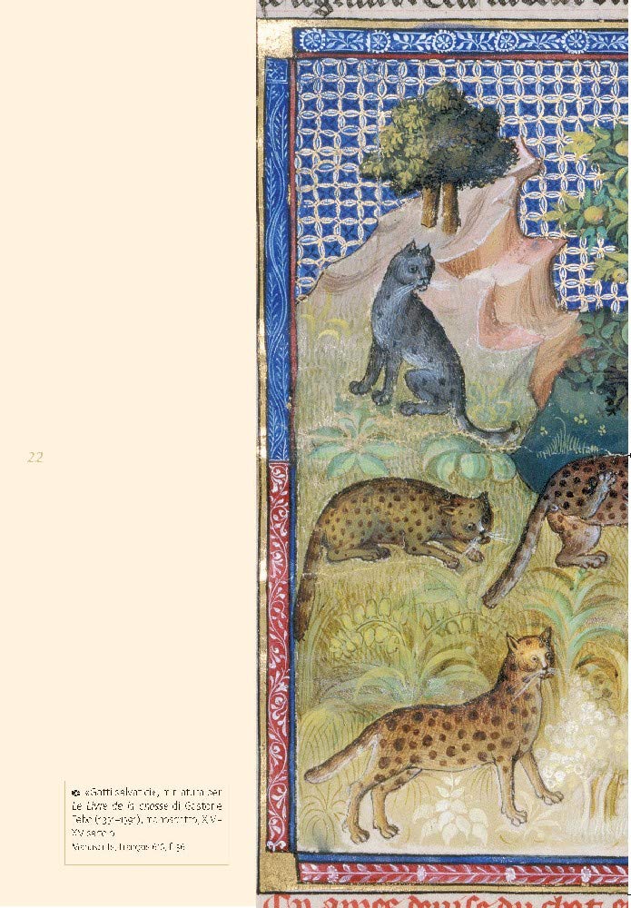 GATTI DI BIBLIOTECA. EDIZ. ILLUSTRATA