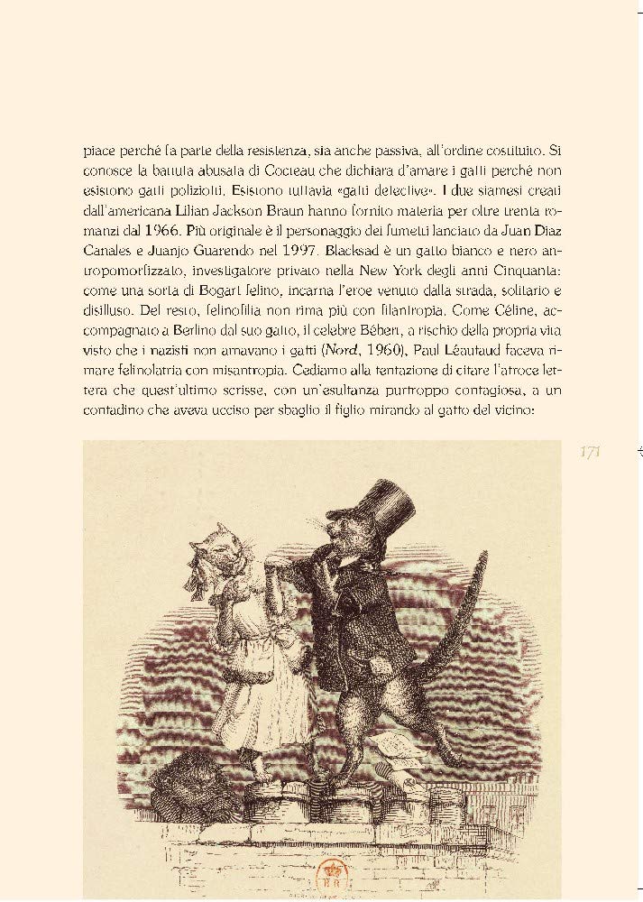 GATTI DI BIBLIOTECA. EDIZ. ILLUSTRATA