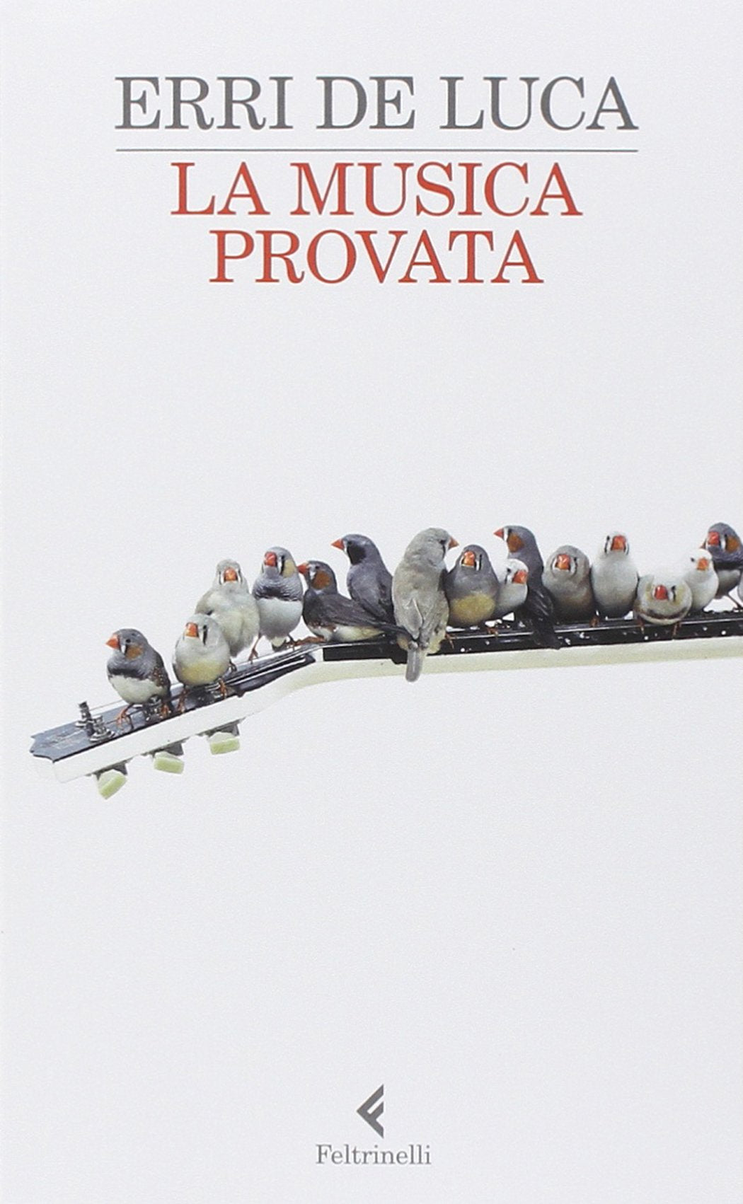 LA MUSICA PROVATA